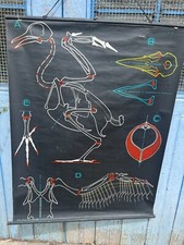 Affiche Ancienne Scolaire  &