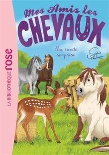 Mes amis les chevaux un - mes,