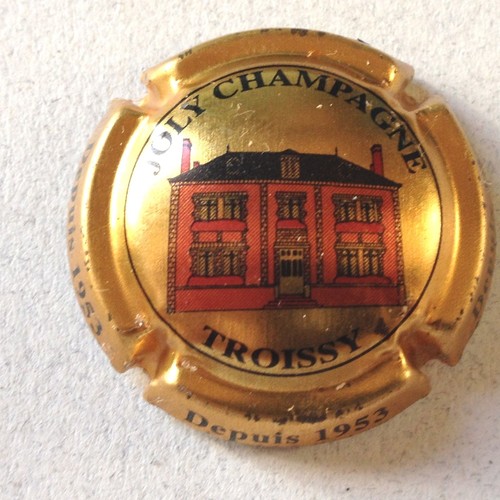 Capsule champagne joly - capsule, (6