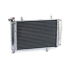Aluminum Radiateur de