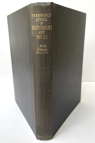 Transformations butterflies - transformations,