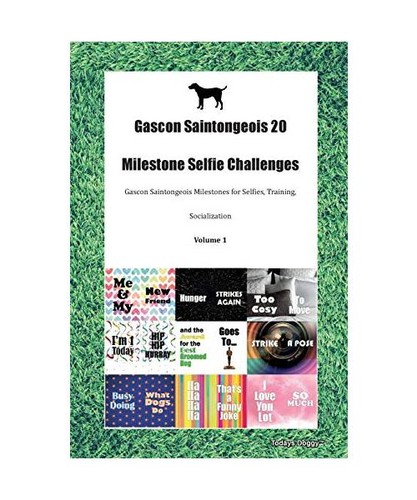 Gascon saintongeois - saintongeois, 20