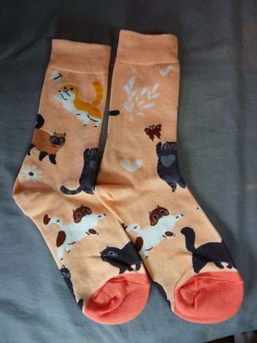 Paire chaussette chat - chat, chaton