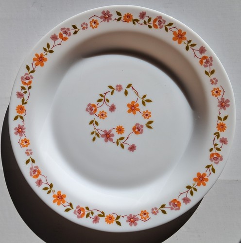 Assiette plate vintage - , arcopal