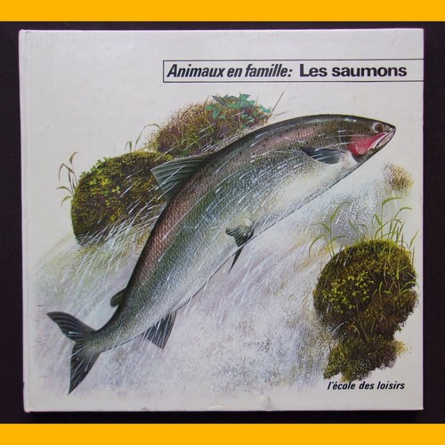 Collection animaux famille - collection,