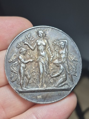 262 medaille comice agricole - ,