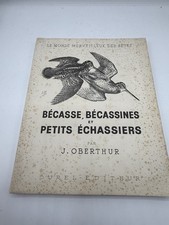 RARE BECASSE BECASSINES ET