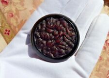 ANCIEN GROS BOUTON en BAKÉLITE MOULÉE décor feuilles stylisées ART DÉCO