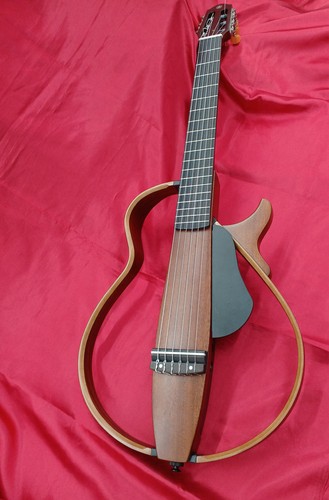 Guitare acoustique électrique