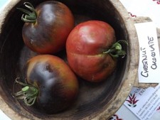 Tomate chocolat châtaigne - 5+ graines - BELLE RARETÉ ! P 192