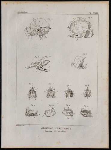 1825 détails des - -,