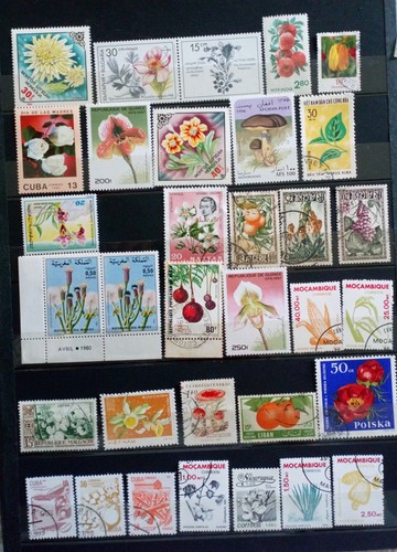 Lot vrac thème flore - lot,