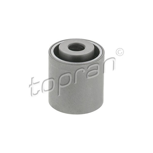 Roller tensioner timing belt