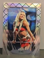 /37 Sol Ruca Steel Cage