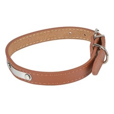 Collier Pour Chien en Cuir