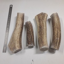 lot de 4 bois de cerf pour