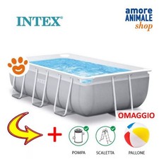 Intex Piscine Prism Cadre