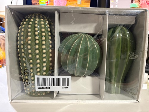 Ikea cactus set - cactus,