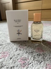 Zara Blue Bird Orchid