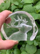 🦌 cerf en verre