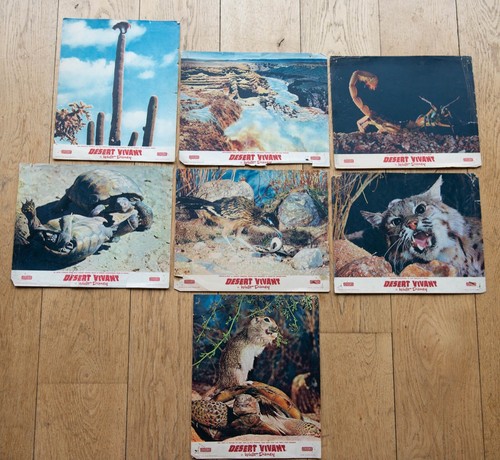 Desert vivant 7 - desert,