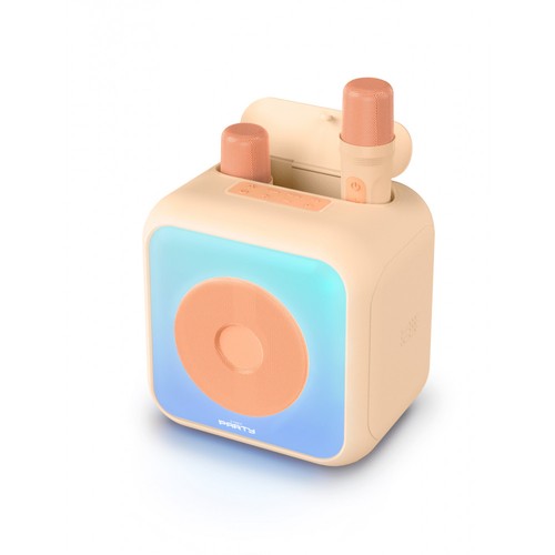 Enceinte karaoke avec micros - avec,