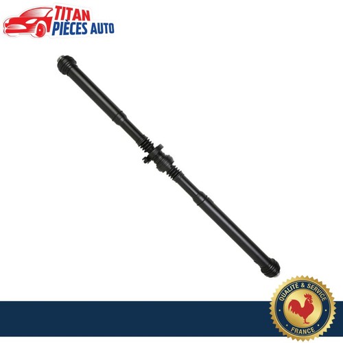 Cardan transmission - de,
