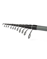 Canne pêche beastmaster ax - canne,