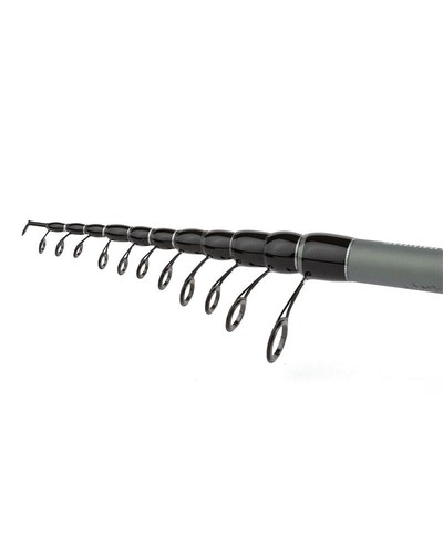 Canne pêche beastmaster ax - pêche,