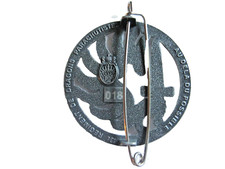 Insigne beret des dragons - de,