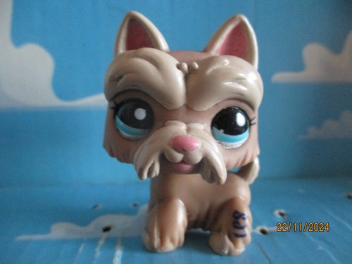 Petshop chien westie - petshop,