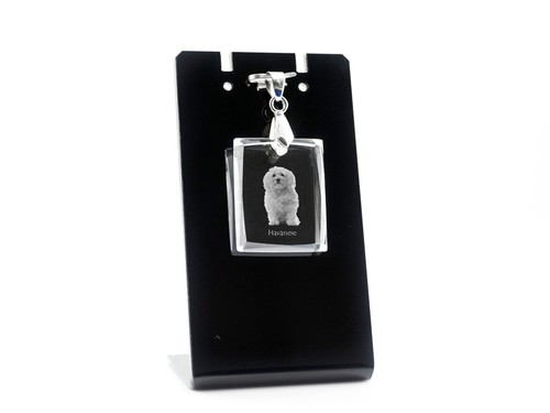 Bichon havanais collier en - bichon,