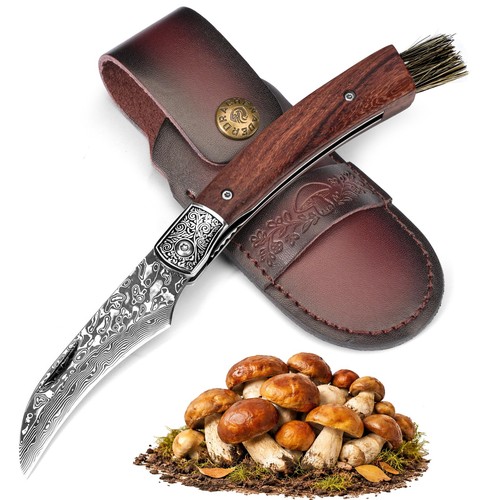 Mushroom knife with brush - mushroom,