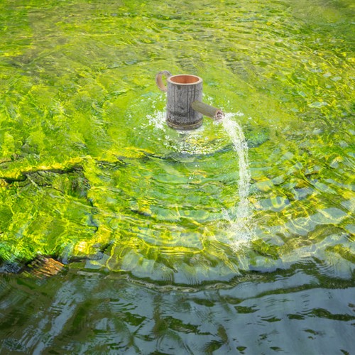 Décoration aquarium pour la - décoration,