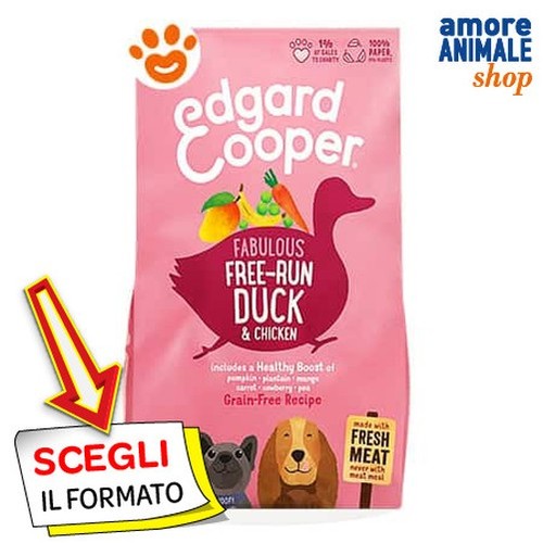 Edgard cooper chien puppy - edgard,