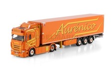 WSI 01-4704 Aurénico Scania S