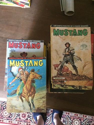 Petit format mustang lot - petit, de