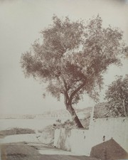 Grande photo XIXe Menton