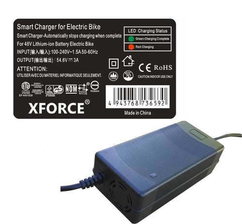 Chargeur amps pour inmotion - 3,