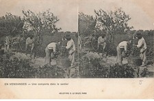 MIKIH- 0135 METIER EN