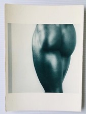 Carte Postale   ROBERT MAPPLETHORPE   Gay  Sexy  Man  Homme  Fotofolio  D. Cross