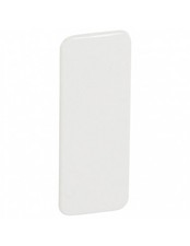 Plaque obturation pour Jupiter encastré droit 2 postes blanc LEGRAND 081074