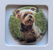 capsule champagne PLU Cuvée LAURA chien  n 2  Yorkshire