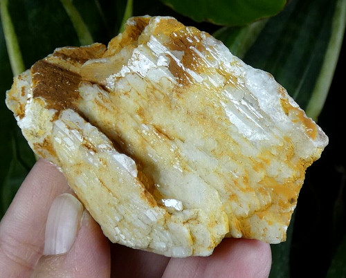 Flottant baryte barre - barre, 8x5cm