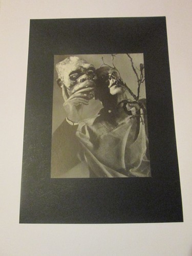 Photo old art print vintage - photo,