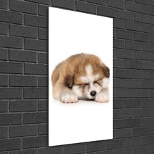 Tulup image sur - image,
