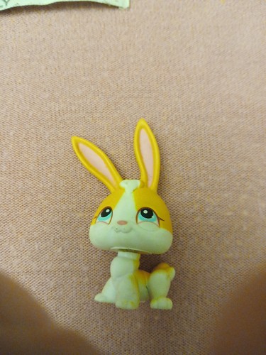 Littlest petshop lapin bunny - petshop,