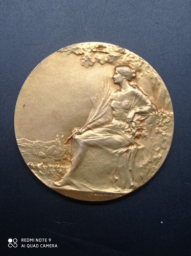 Médaille bronze dorée - médaille,