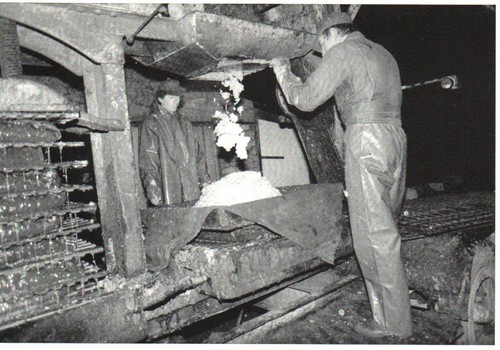 Cpm quistinic - 56,