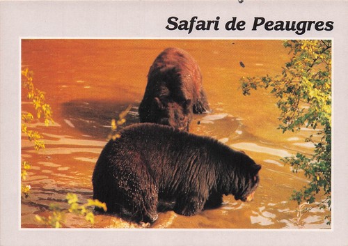 Peaugres safari - 7,